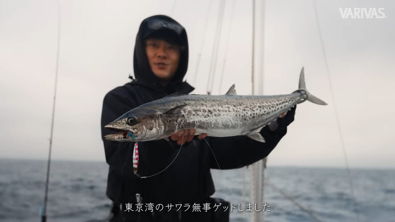 |【切られることはほぼありません】サワラブレードジギングを変えるタックルセレクト術