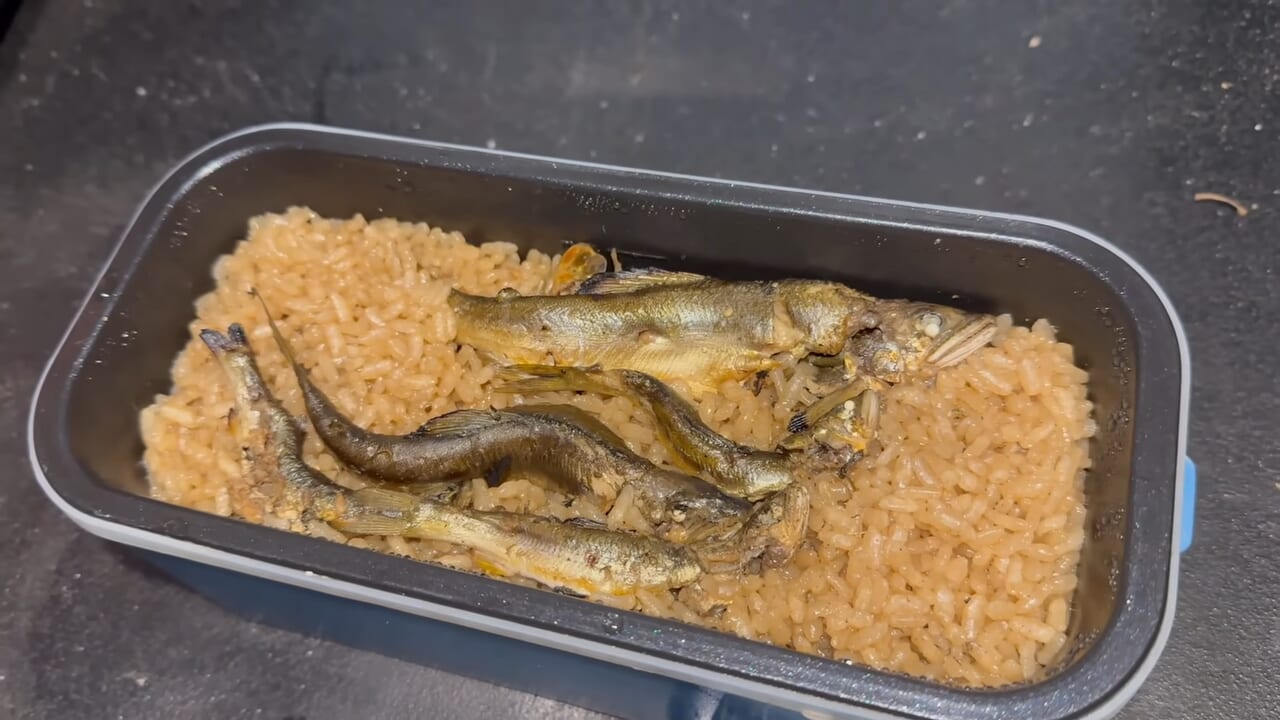 ｜「見てるだけで飯テロ」「羨ましい」流行の釣りで『絶品魚』を狙う。思わず画面から香りが伝わる“魚料理”に反響多数。「これはウマいわ…」