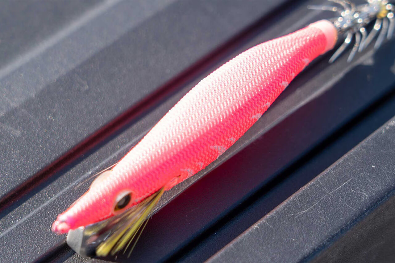 |人気急上昇中の『ライトエギング』。シマノのセッピーシリーズに新サイズ登場で攻略の幅がさらにアップ!