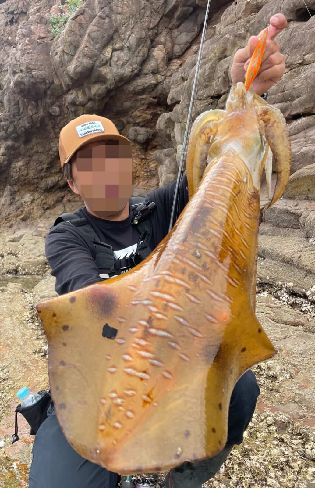 ｜【ジャンボフェリーで楽々！島釣行】秋の小豆島で釣りを楽しもう。癒しのターゲット達が沢山！