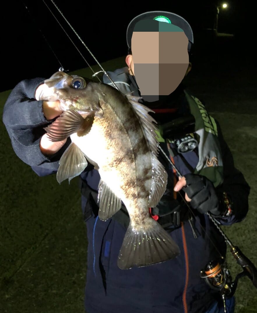 ｜【ジャンボフェリーで楽々！島釣行】秋の小豆島で釣りを楽しもう。癒しのターゲット達が沢山！