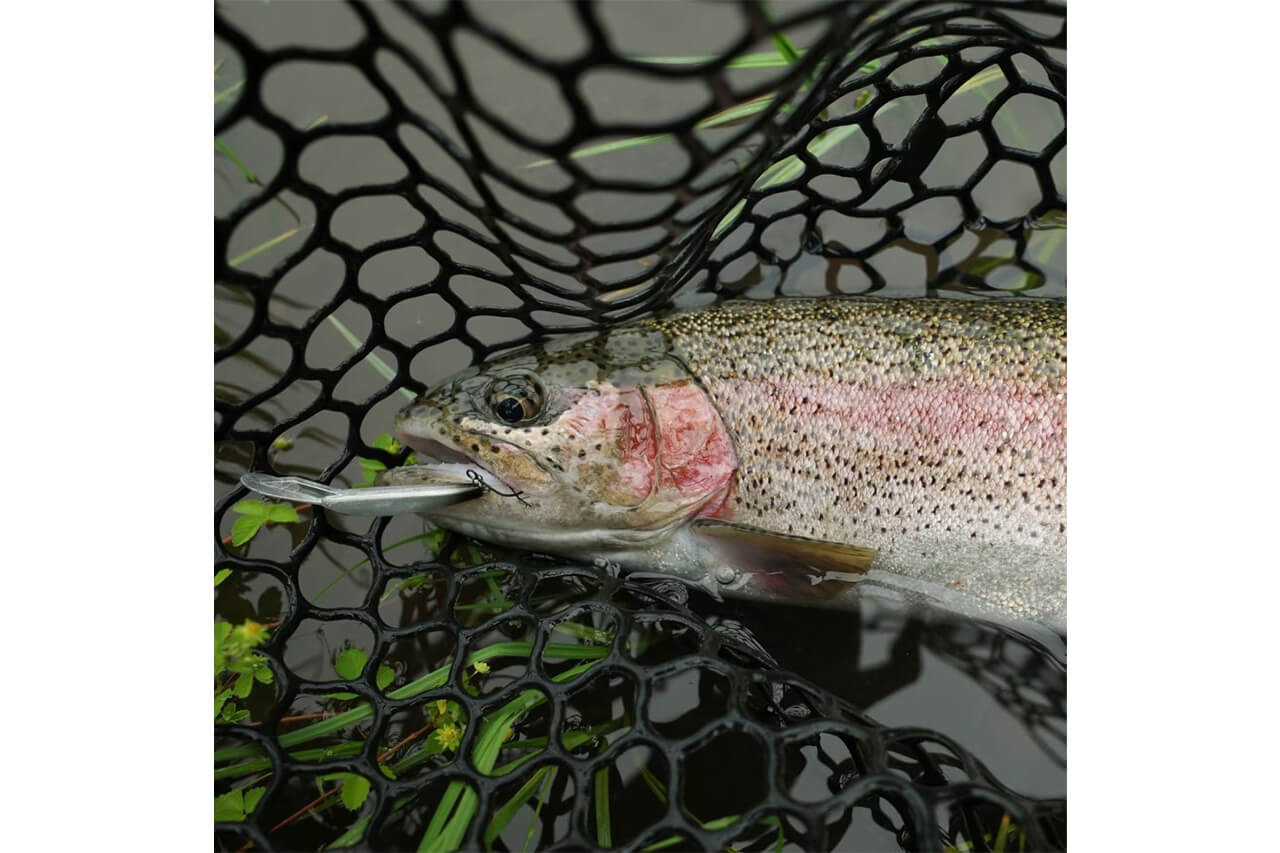 |オールドスクールな“ペイントアイ”が味を出す。シマノの『ダイバライズ』にダウンサイジングモデルが登場。気難しい魚も思わず口を使う完成度に。