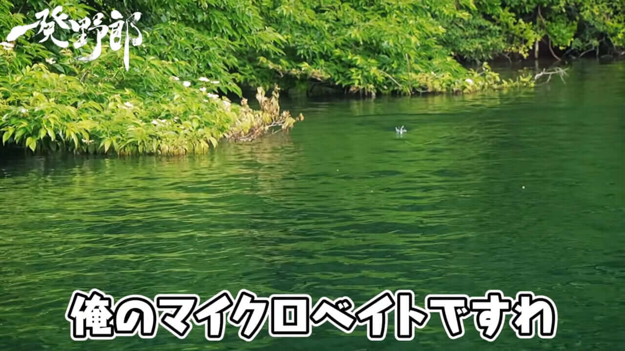 ｜キムケンの思考はバグってる?スモールマウス相手にナイロンリーダー30lb！ビッグノイジーがマイクロベイト！それが正解になるキムケンワールド『一発野郎』の魅力