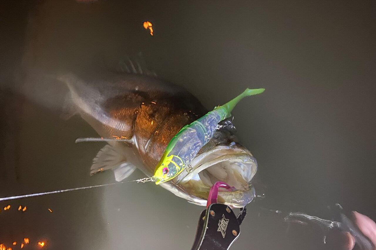 |激推しルアーで“5日連続”東京湾のランカーを捕獲。ほかのビッグベイトとは違うポテンシャルを解説。「使い方としては…。」