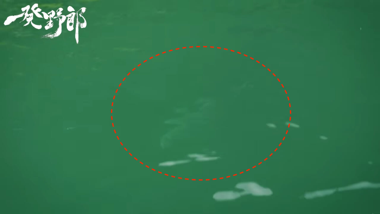 ｜キムケンの思考はバグってる?スモールマウス相手にナイロンリーダー30lb！ビッグノイジーがマイクロベイト！それが正解になるキムケンワールド『一発野郎』の魅力