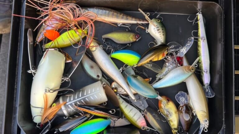 テーマは「タイニークランクとバイブレーション」。年間優勝目前の鈴木翔さんがプラクティスで感じた手応えは？