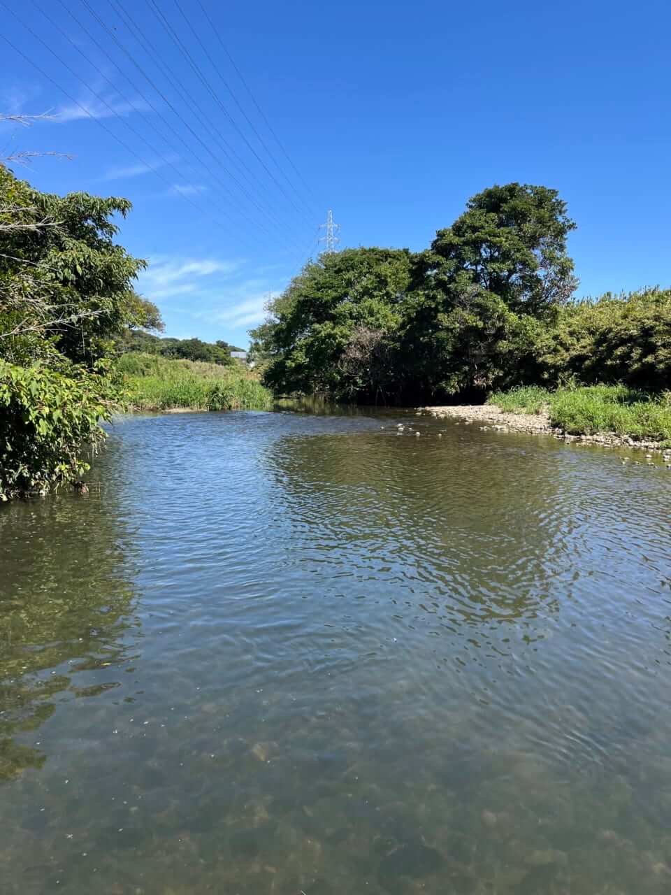 |近所の川で楽しめる『チャビング』って知ってる?手軽で奥深い、魅力あふれる釣りを解説。