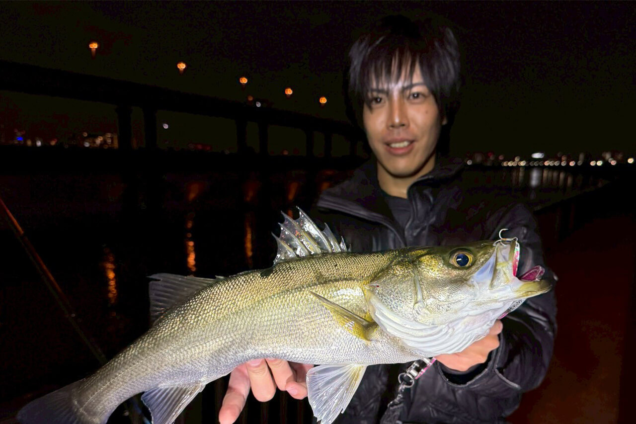 |コスパ良しの必殺ルアー!秋の東京湾攻略の奥の手投入でシーバスゲット!【週刊!東京湾シーバス情報】