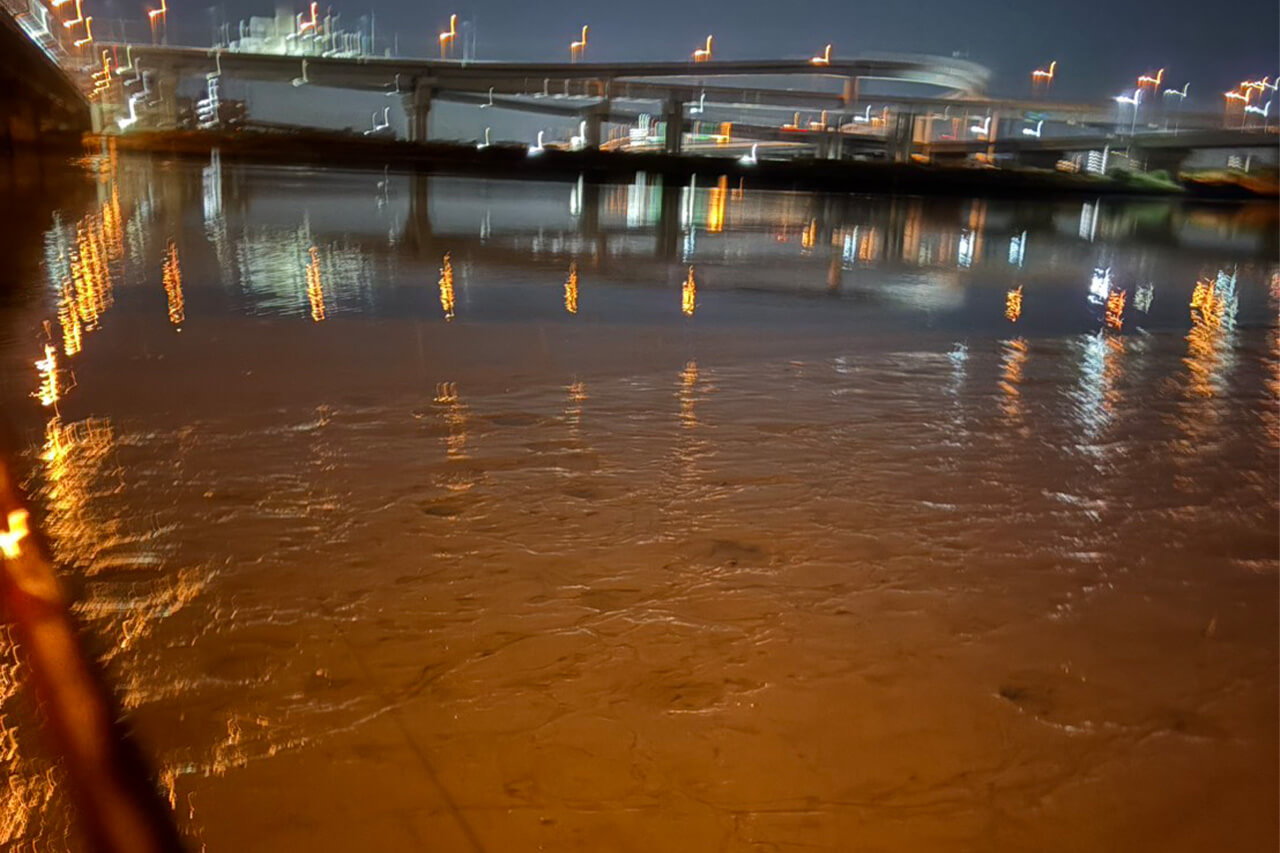 |「爆釣やんけ」数釣りができる晩秋の東京湾奥河川!【週刊・東京湾シーバス情報】