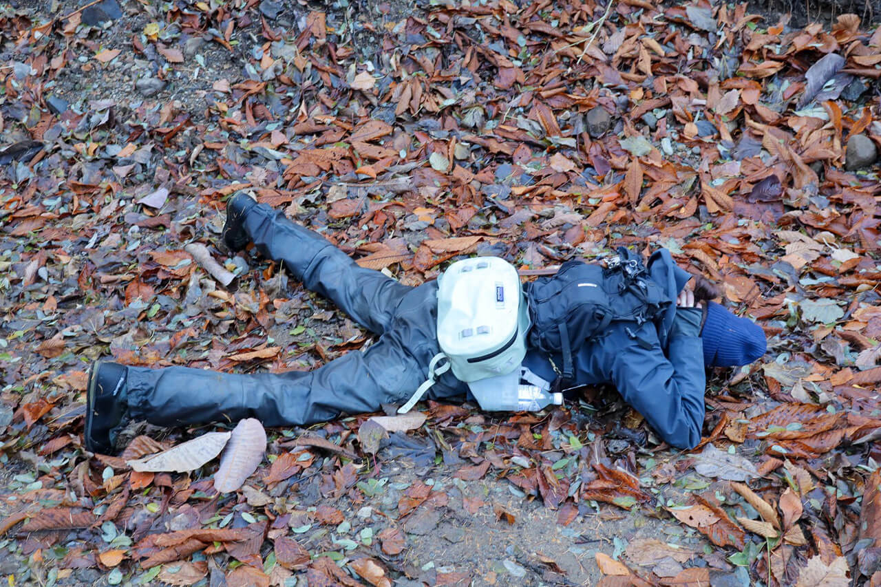 ｜「イメージ的には助からない…」『ヒグマ』と出会って感じた、命を少しでも守るための行動と対策とは？ 防御態勢の有効性についても考察。