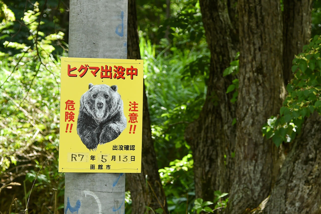 ｜「イメージ的には助からない…」『ヒグマ』と出会って感じた、命を少しでも守るための行動と対策とは？ 防御態勢の有効性についても考察。