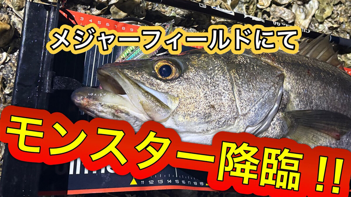 |「ヒットルアーはコレです」ランカー降臨!東京ベイエリアでコノシロ祭り開幕か!?【週刊・東京湾シーバス情報】