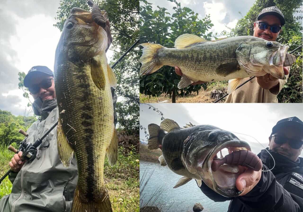 ｜タン塩じゃないよ！強烈な臭いで病みつき間違いなし!?巷でブームの『C.O.タン』とは？