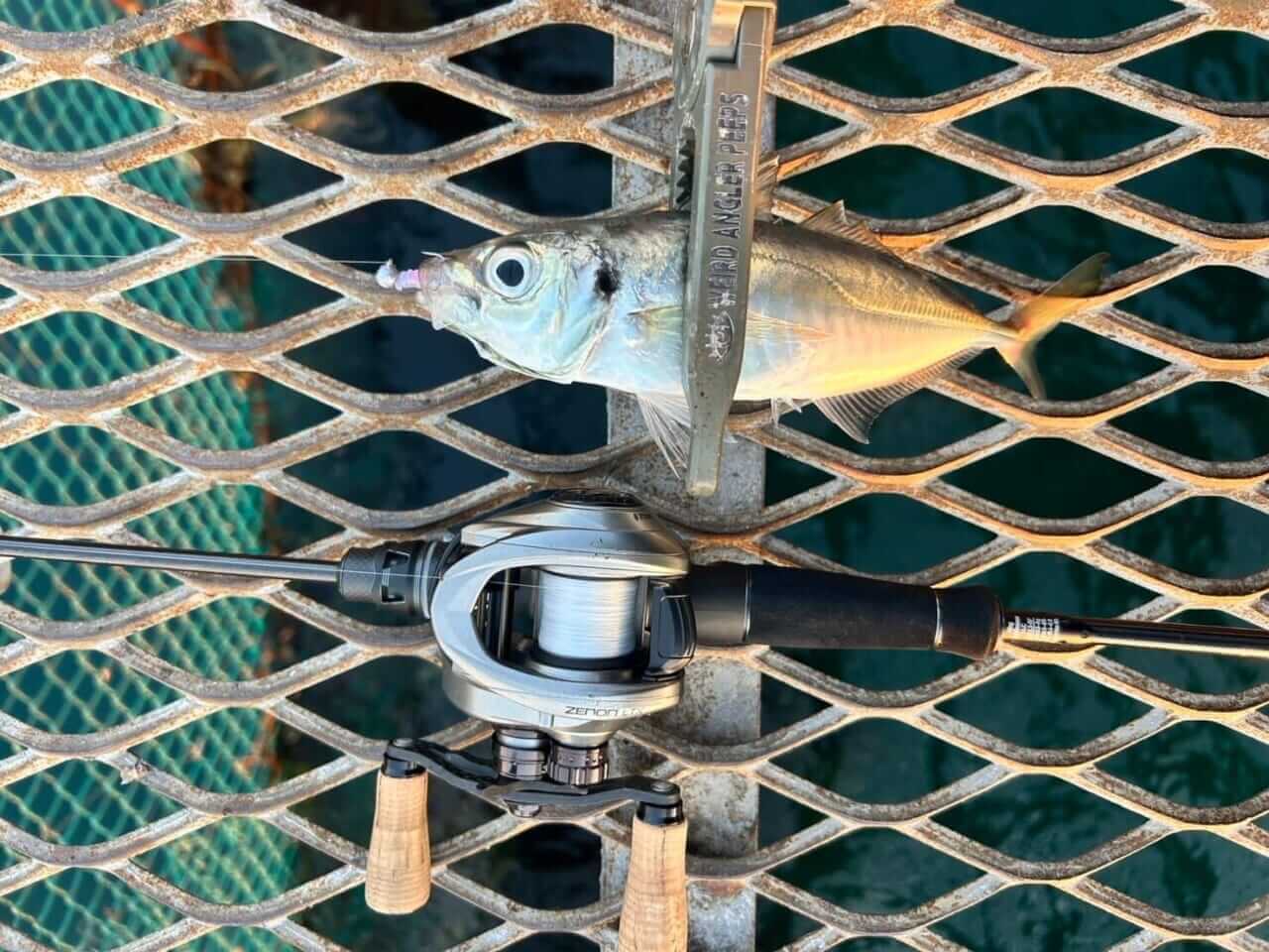 ｜「そんなのアリ⁉」PEなのに編まないラインに新作登場！超高感度！超滑らか！細番手！充実スペックでライトゲームにピッタリ！