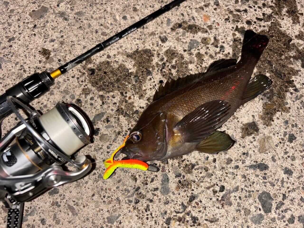 ｜「そんなのアリ⁉」PEなのに編まないラインに新作登場！超高感度！超滑らか！細番手！充実スペックでライトゲームにピッタリ！