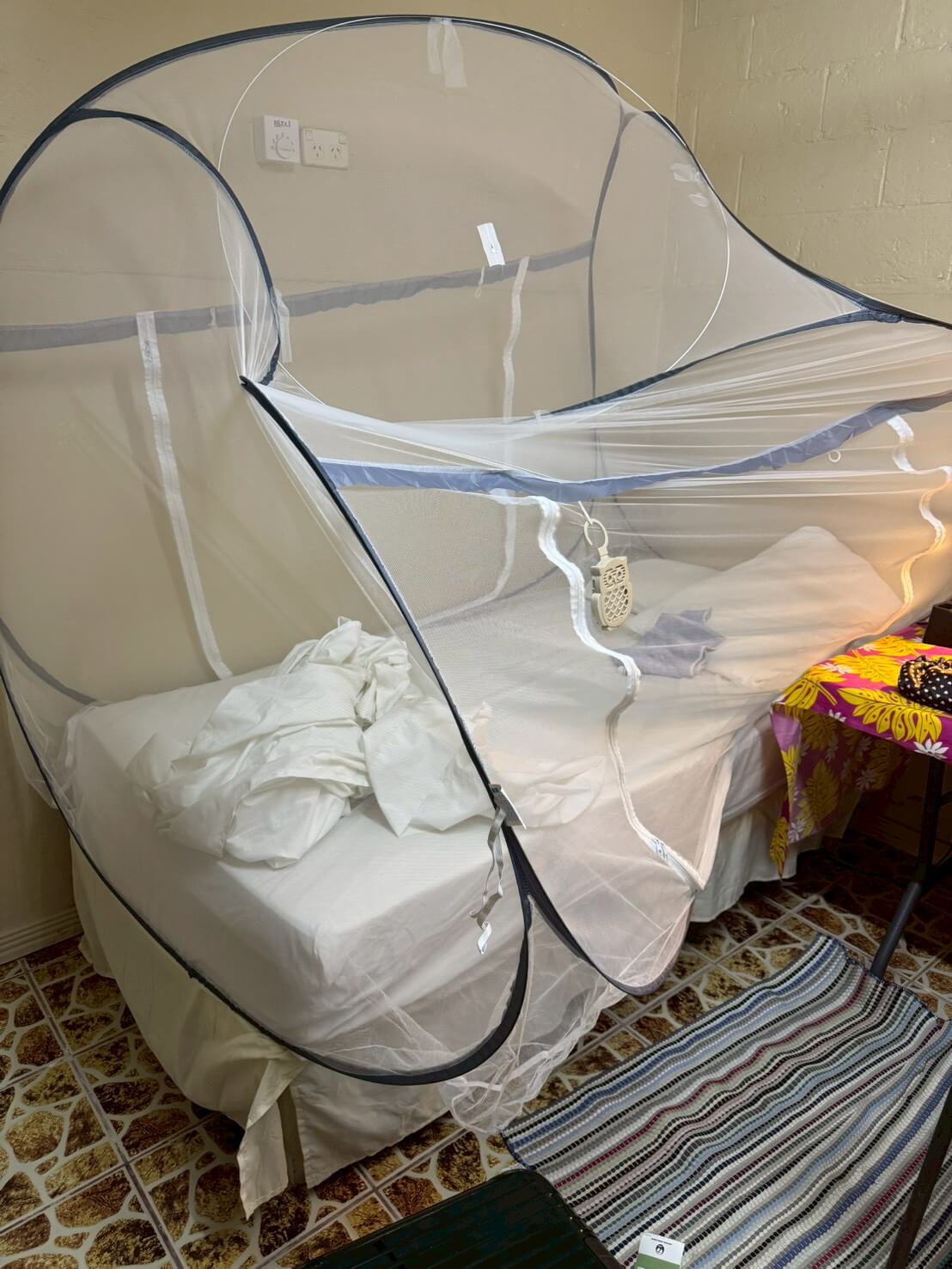 |【福島和可菜のLove Fishing】GTの後はフライで楽しむキリバス遠征!巨大シャコも捕獲して大満足の釣行に!