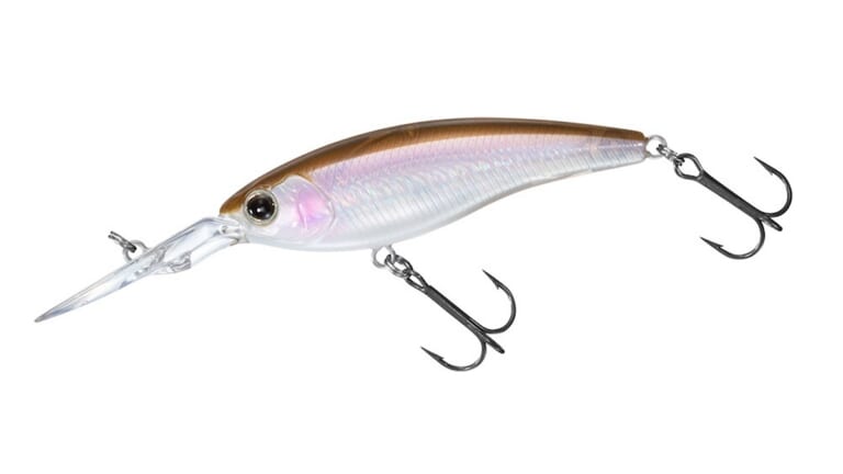 今使いたい『スティーズサイレントシャッド』。DAIWAスタッフが教える“釣れる”使い方とは？