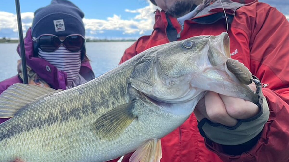 |秋のような初冬のような、気難しい季節。こういう時はかき集めて釣るしかない!「もっと冷え込んだほうがむしろ楽…」