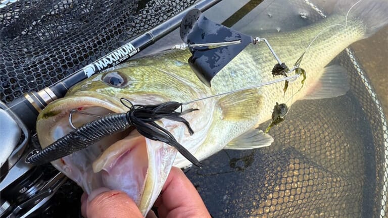 「秋の最強ルアーはコレ」「適当投げでOK。ドルフィンバイトで大興奮！」キーポイントは広域+シャローフラットです！