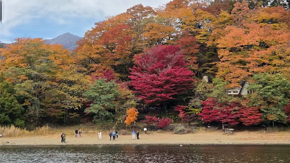 |紅葉がピークに、季節は横リアクションへ移行。「いよいよ冬の雰囲気。でもまだまだトップもイケます!」