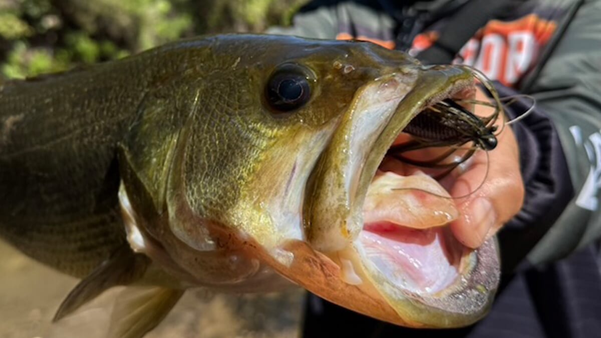 ｜「アベレージサイズ乱獲、サイズも混ざります」この秋に釣果を約束してくれる超盤石なルアーとは？レベルバイブとのローテでより強力パターンに
