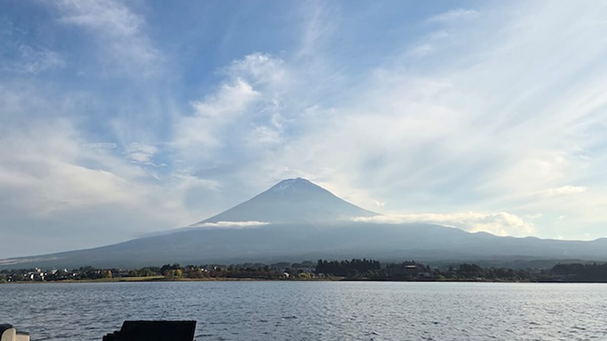 |「いよいよデカバスだけが狙えるシーズンに」冬目前の寒さだけど激アツな釣り、ありますよ! ウィードの状態は良好です!