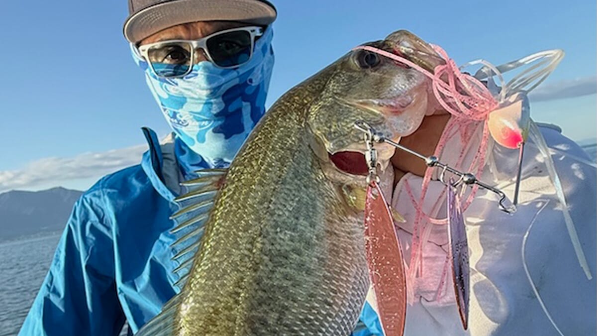 |「このルアー、ビギナーでも釣れます。上級者が使ったらもうボコボコ(笑)」。そのバイト数の多さに誰もがきっと驚くはず。全国で激釣れのアイテムとは?