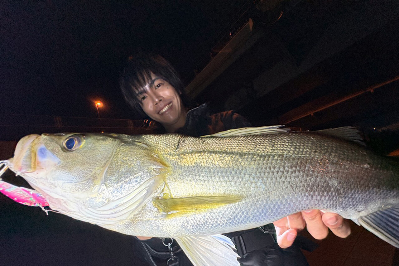 |コスパ良しの必殺ルアー!秋の東京湾攻略の奥の手投入でシーバスゲット!【週刊!東京湾シーバス情報】