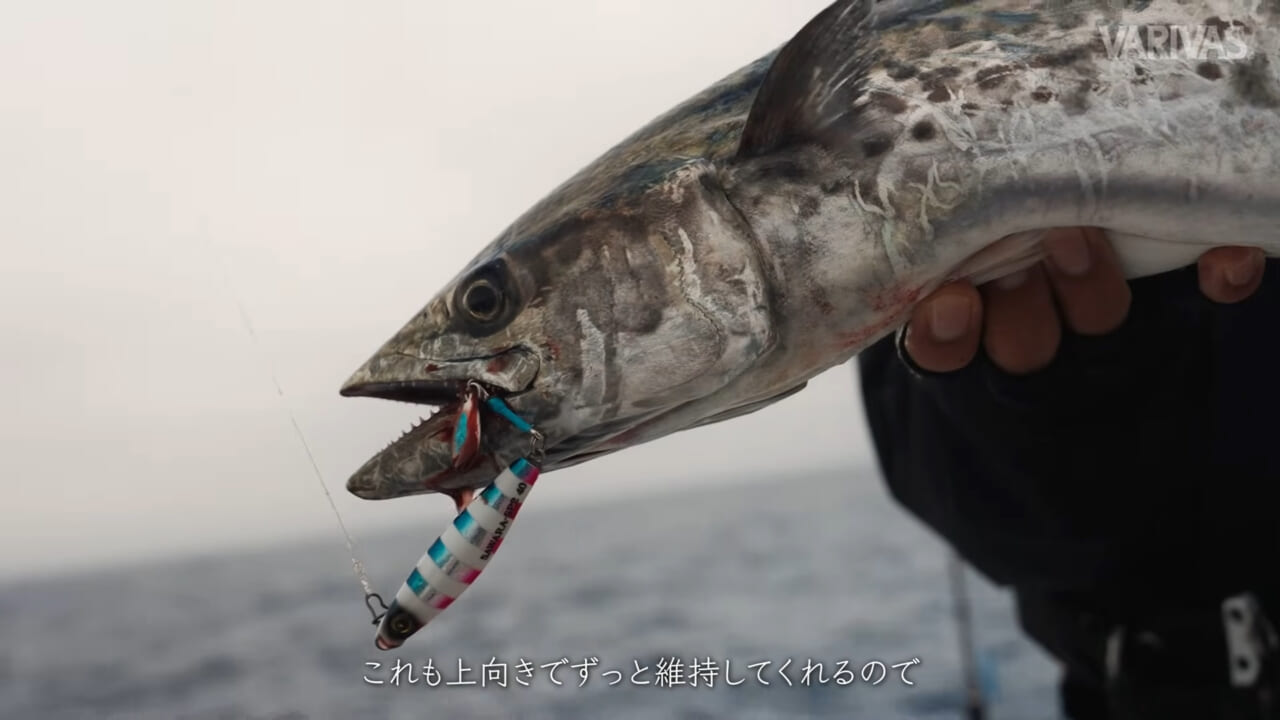 |【切られることはほぼありません】サワラブレードジギングを変えるタックルセレクト術