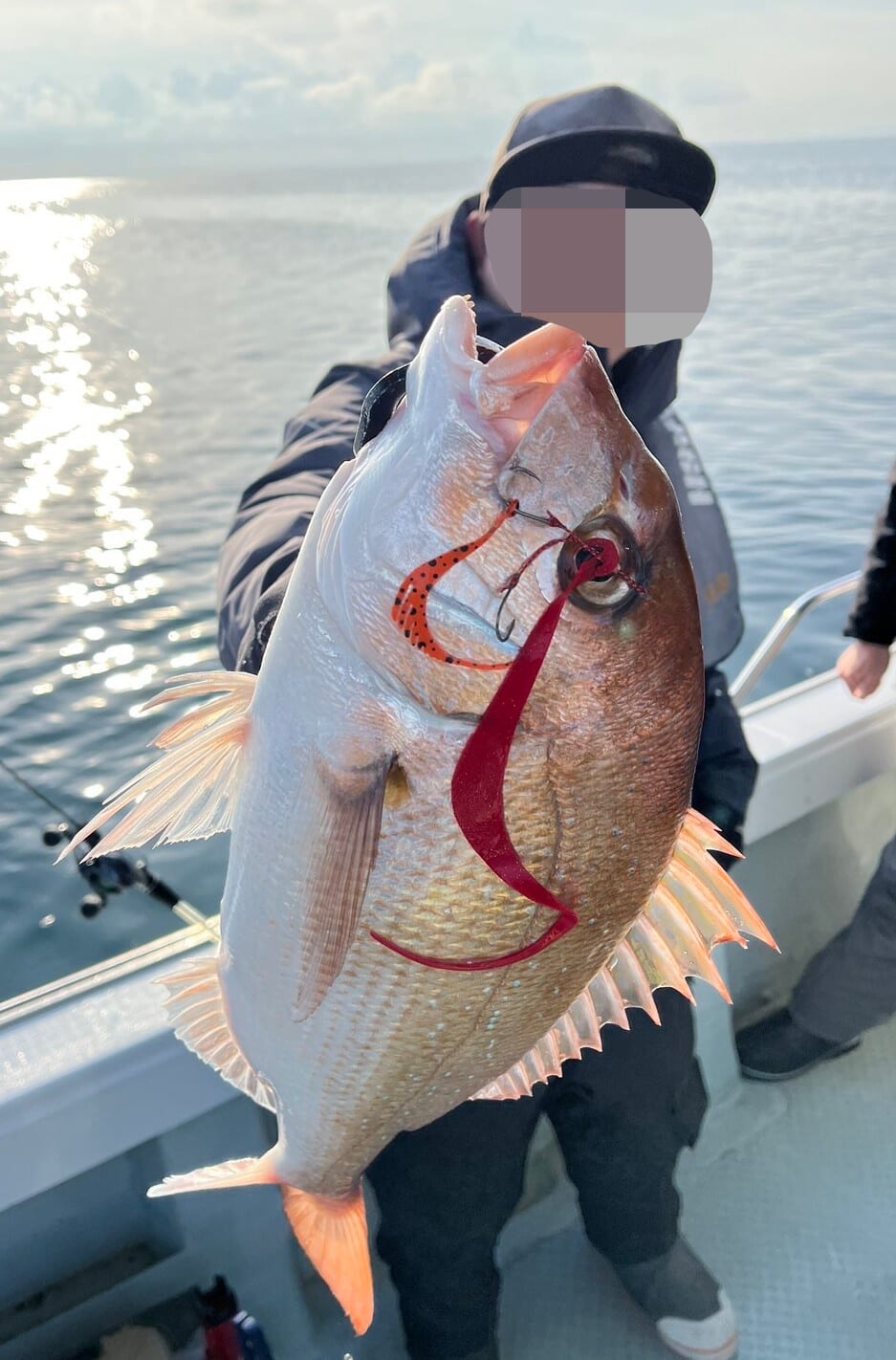 ｜【ジャンボフェリーで楽々！島釣行】秋の小豆島で釣りを楽しもう。癒しのターゲット達が沢山！