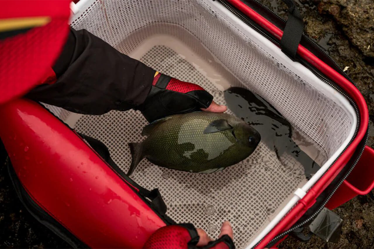 ｜シマノから『フィッシュバッカン用メッシュインナー』が登場。魚の選別がスムーズになる超実戦的アイテムに。