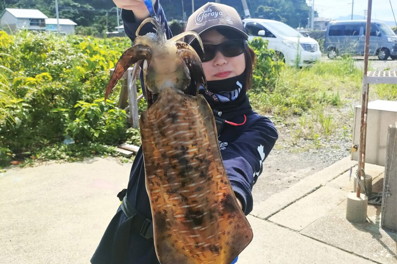 |「ネットにも情報がない」超穴場のエギングスポットで爆釣!? マル秘ポイントも公開しちゃいます…。