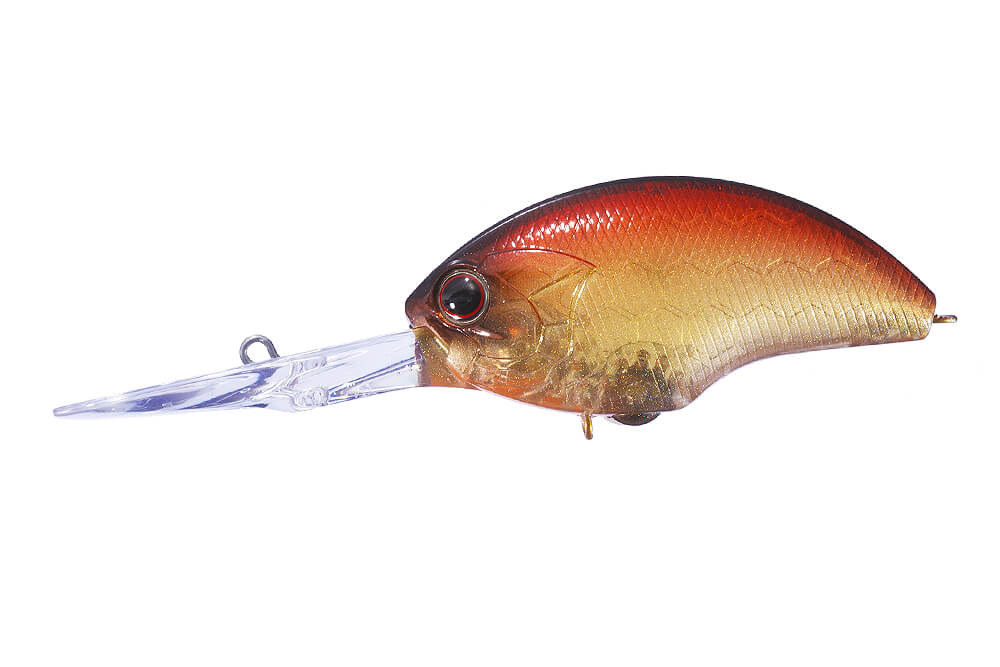 |「見なきゃ損」プロが大会用のタックルを全公開。参考になるセッティングばかりで目から鱗。