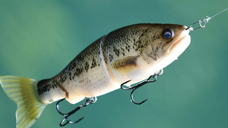 素材の浮力がルアーを別物に⁉『ボーンラチェット』の魅力とは?