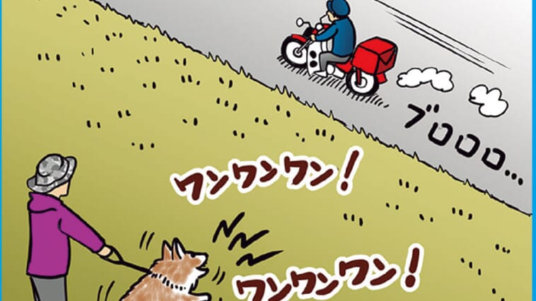 【名前の由来には犬が関係!?】話題の新作ノイジー『レッドカブ』のすべてをグラスルーツの2人が解説！【将監川で奏でる水面協奏曲】