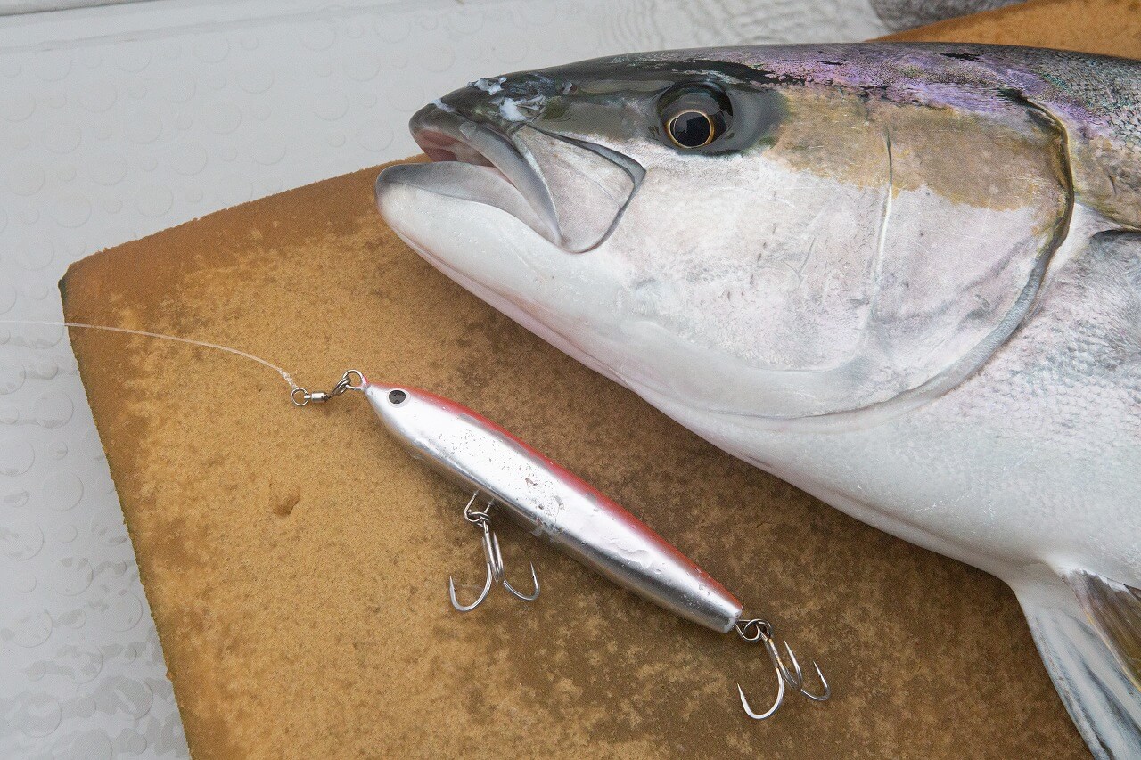 ｜【ブラックフライデーの今がチャンス！】釣りプロを一番近くで見てきたからこそわかる「高価格ライン」のおススメとその魅力