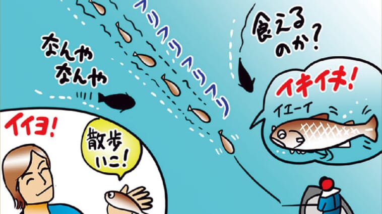 ルアーとお散歩⁉ 最高傑作スイムベイトを使うための極意は『ペット』にあり⁉