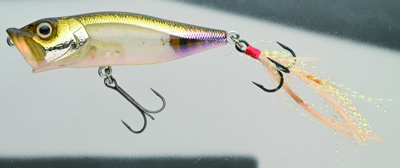 ｜バスを実際に釣って検証10本!!『アピールとナチュラルどっちが釣れる？』ほか