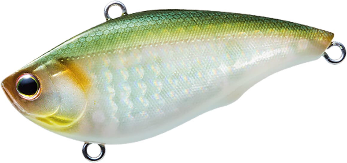 |名作!日本製レジェンド「バイブ」が復活!