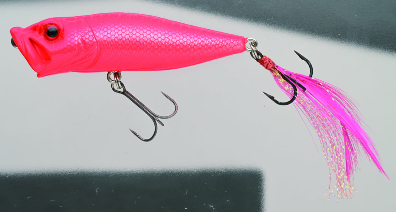 ｜バスを実際に釣って検証10本!!『アピールとナチュラルどっちが釣れる？』ほか