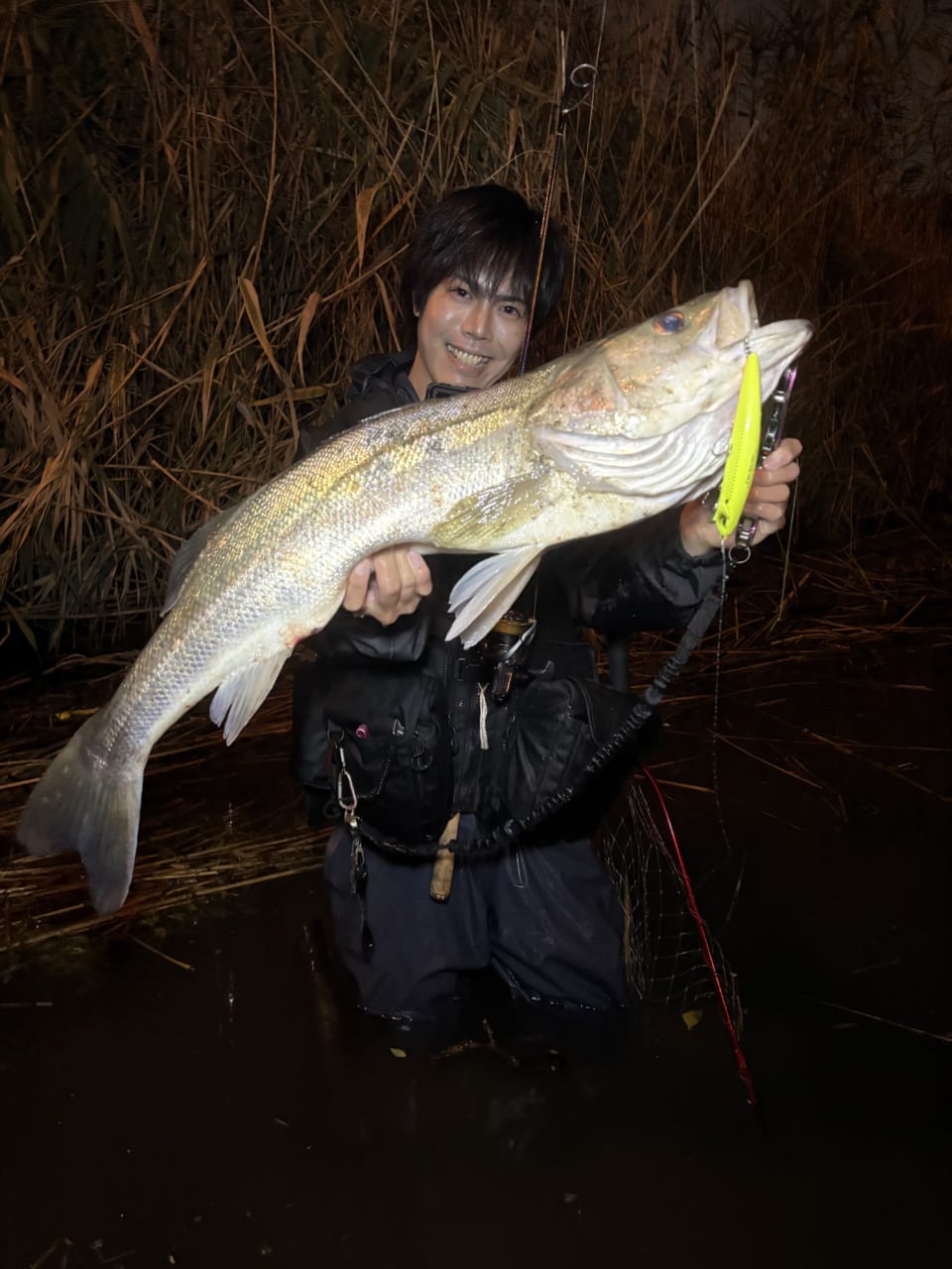 |いよいよハイシーズン終了!? 今年の東京湾の秋爆事情は?【週刊・東京湾シーバス情報】