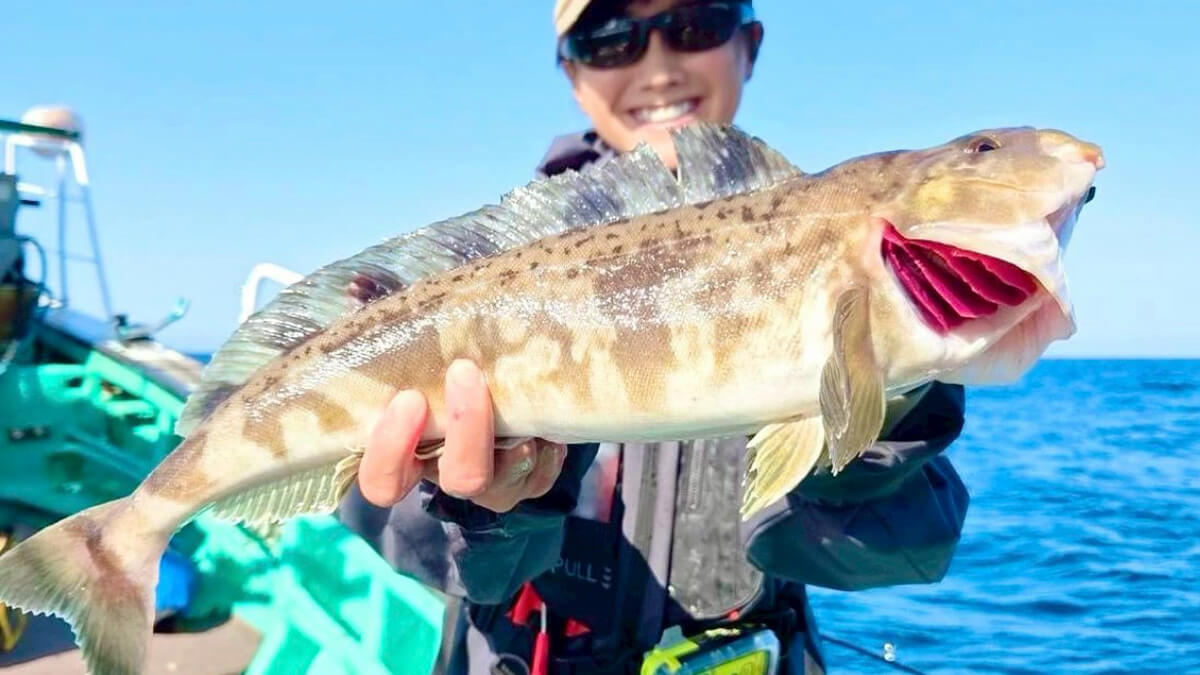 ｜【福島和可菜のLove Fishing】北海道遠征で食べておいしい！みんな大好きあの魚のメガサイズが大爆釣⁉