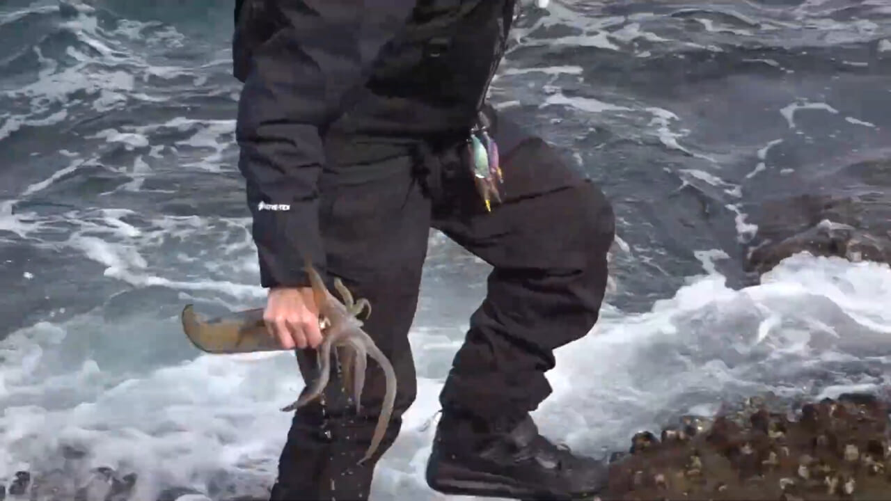 |【プロvs一般人アングラー】秋に“デカイカ出現”!? 湯川マサタカの『セフィアチャレンジ in 徳島県』。アウェイの地を攻略なるか…。