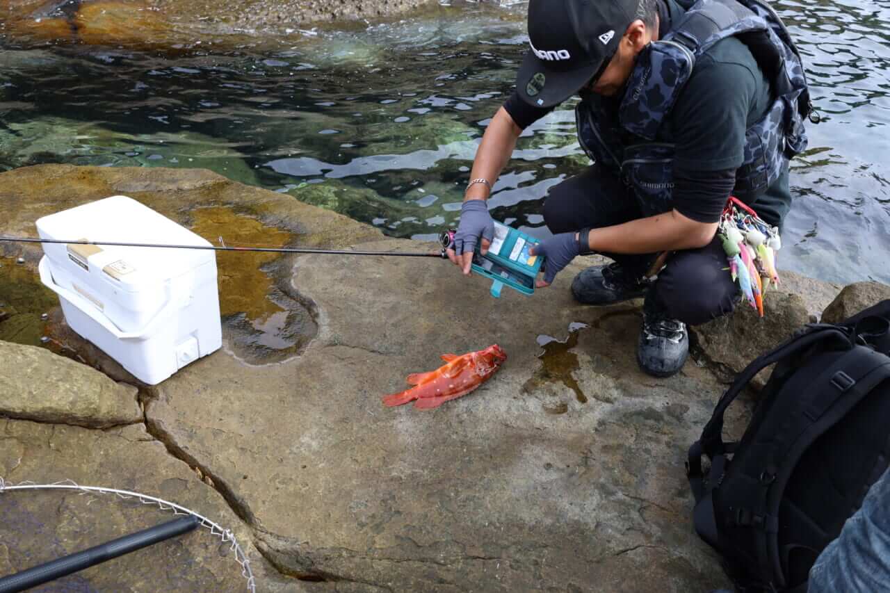 ｜【プロvs一般人アングラー】秋に“デカイカ出現”!? 湯川マサタカの『セフィアチャレンジ in 徳島県』。アウェイの地を攻略なるか…。