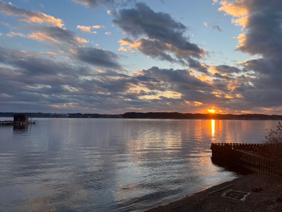 |冬に釣果を生み出す『スクーパーフロッグベイビー』のマル秘チューニングを公開。【鈴木翔の”SHOWUP!!】