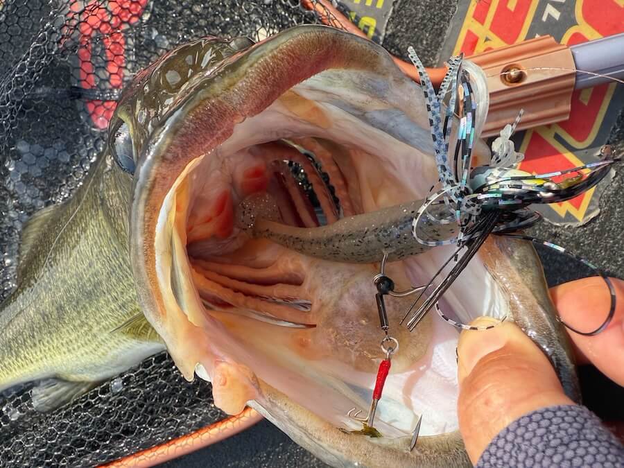 ｜寒気の影響でゲームチェンジ、スイミングジグの季節に。この釣りで必ず用意しておきたいアイテムがコチラ！