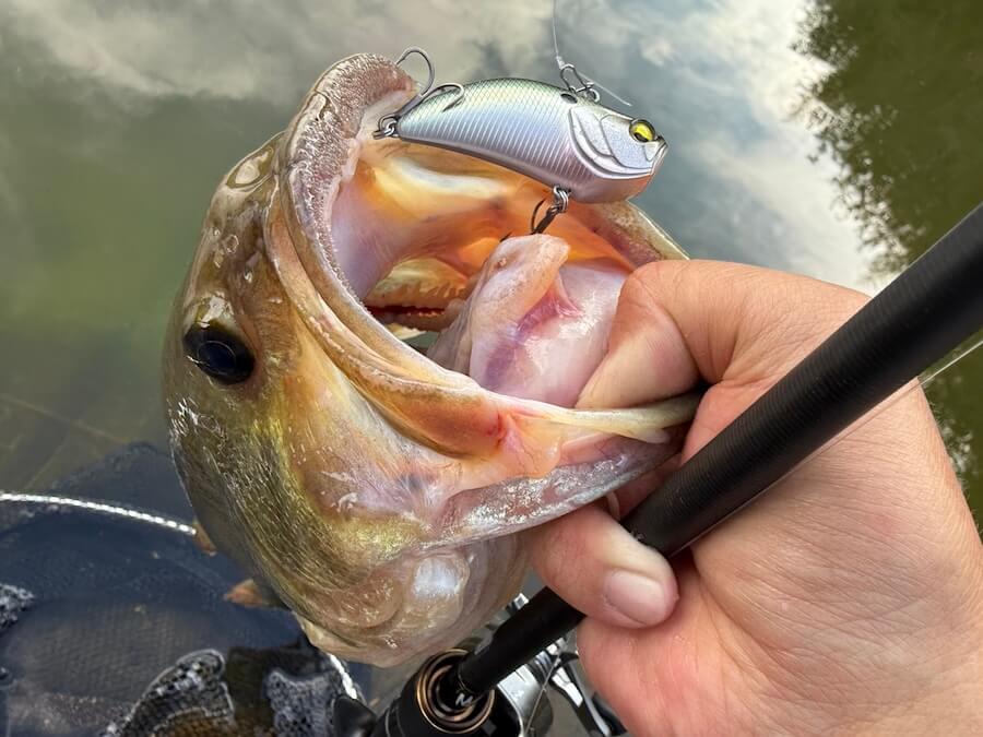 |「準備はお早めに」そろそろ“コイツら”の出番です。ウエイトは重ためからスタート。沖に魚が溜り出したらシーズンIN!使い方をメーカースタッフが解説。