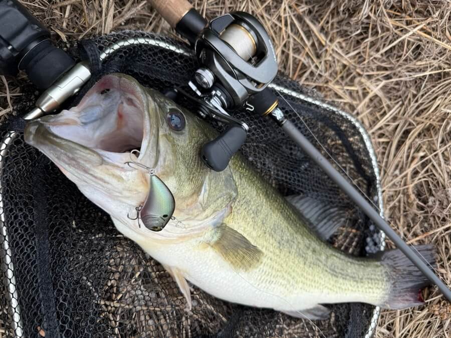 |「準備はお早めに」そろそろ“コイツら”の出番です。ウエイトは重ためからスタート。沖に魚が溜り出したらシーズンIN!使い方をメーカースタッフが解説。