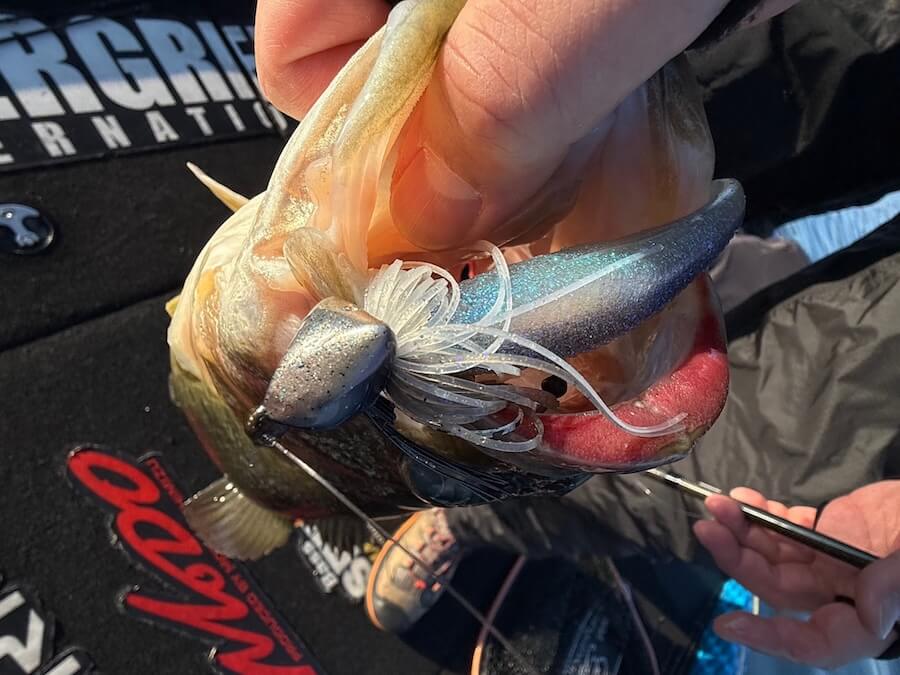 ｜12月にしては暖かい、暖冬？ いつもなら早春に効くスイムジグでビッグワン炸裂中！【大西健太のOKレポート】