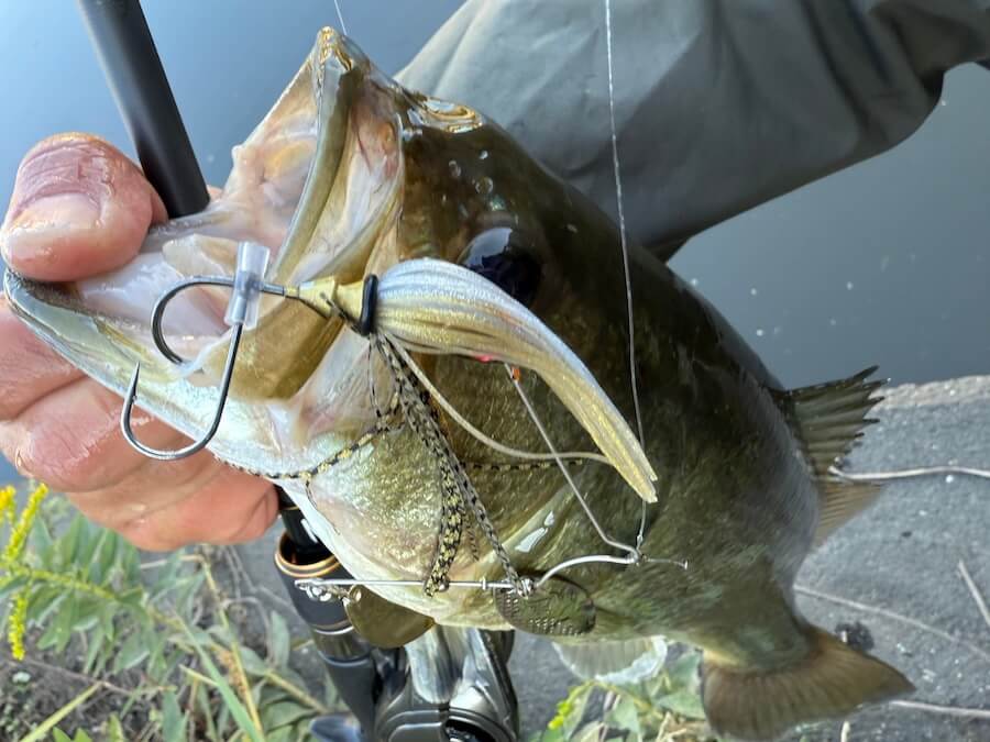 ｜「冬から初春までコレ巻いて」寒くても魚が“本気喰い”。この冬必需品の『レベルスピン』の使い方とは。